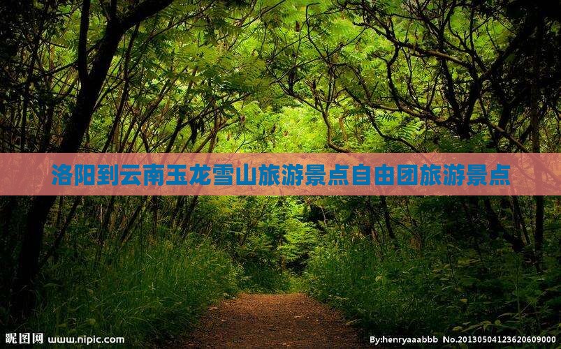 洛阳到云南玉龙雪山自由团