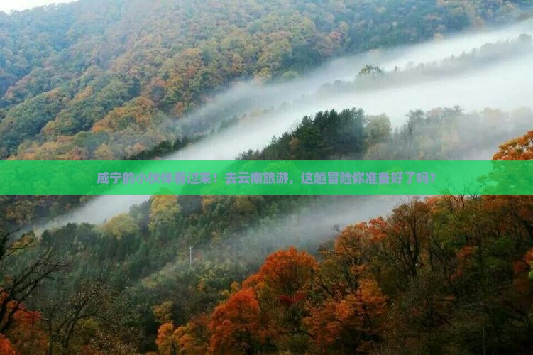 咸宁去云南旅游