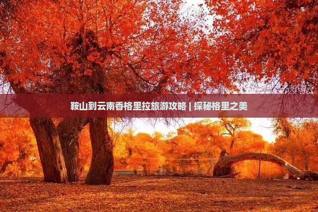 鞍山到云南香格里拉自由行