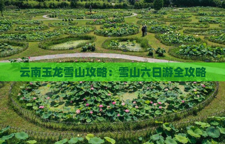 春天到云南玉龙雪山六日游