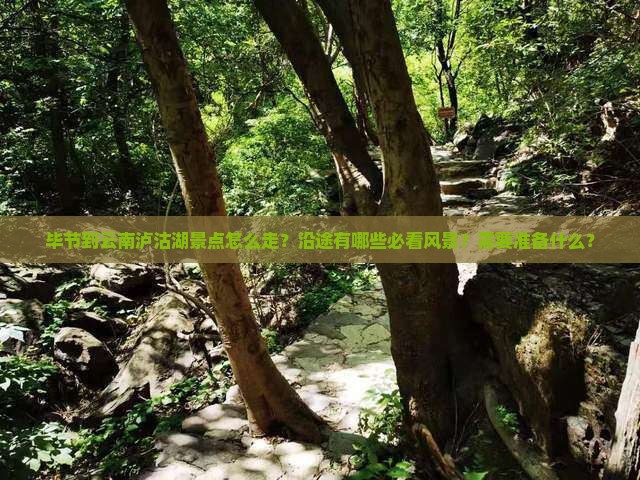 毕节到云南泸沽湖景点