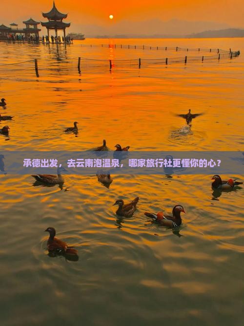 承德去云南温泉旅行社
