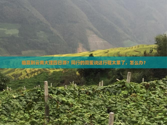 临夏到云南大理四日游