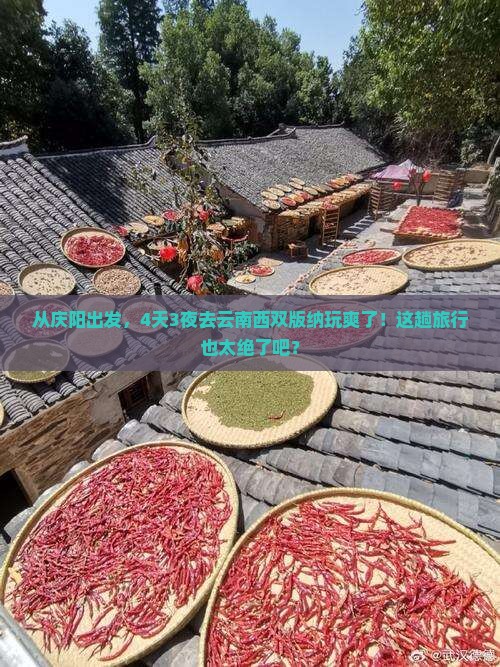 庆阳到云南西双版纳四日游