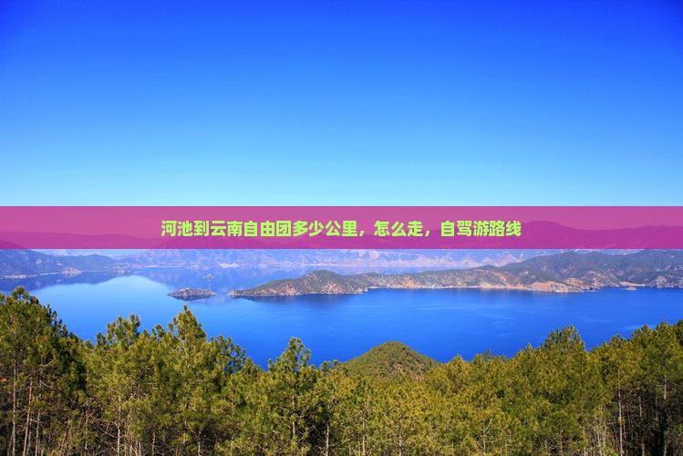 河池到云南自由团