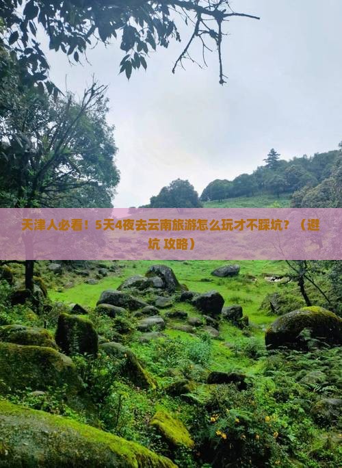天津去云南旅游