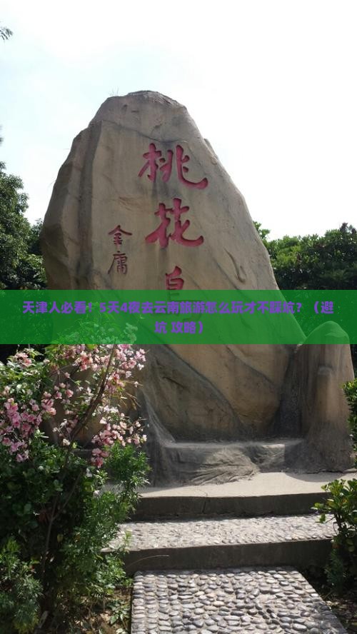 天津去云南旅游