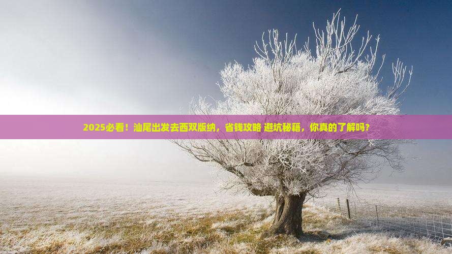 汕尾去云南西双版纳景点