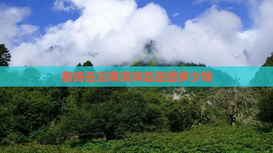临猗去云南洱海自由团