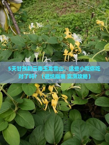 甘孜去云南玉龙雪山旅游小吃