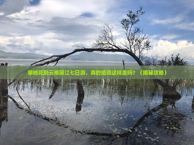 攀枝花到云南丽江七日游