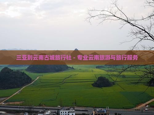 三亚到云南古城旅行社