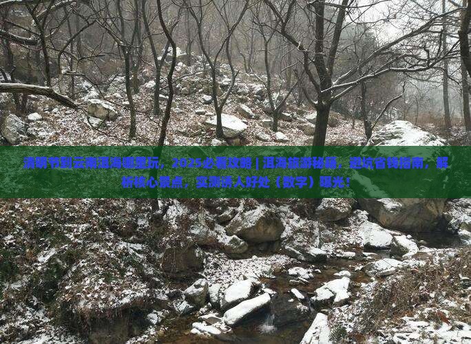 清明节到云南洱海哪里玩