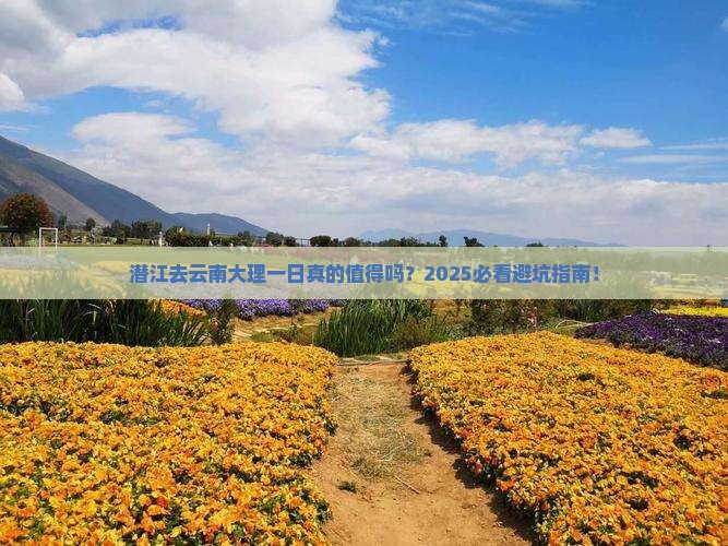 潜江去云南大理一日