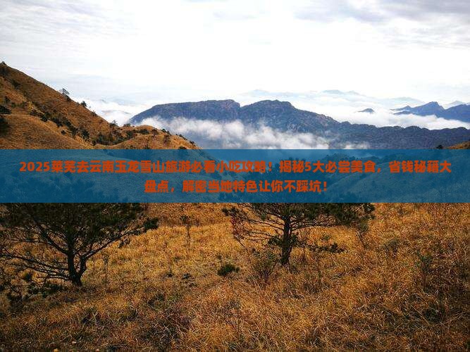 莱芜去云南玉龙雪山旅游小吃