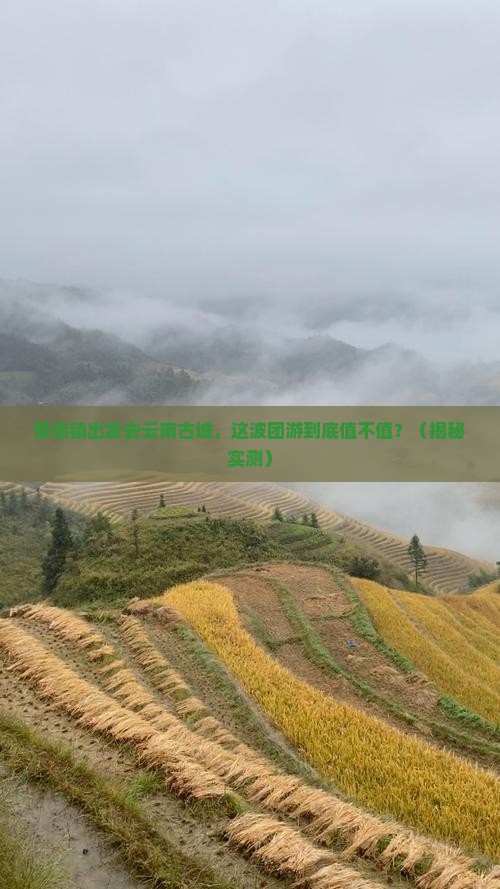 景德镇去云南古城团体旅游