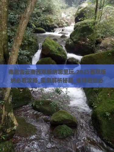 南昌去云南西双版纳哪里玩
