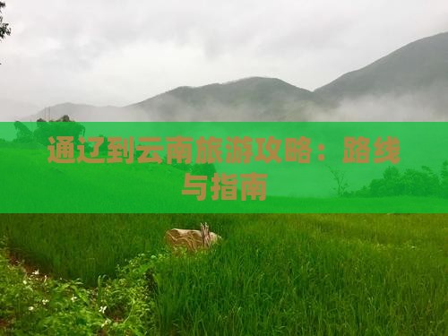 通辽市到云南攻略