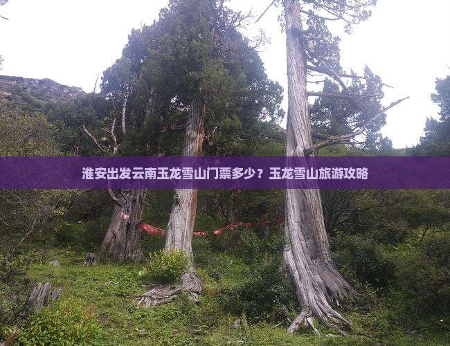 淮安去云南玉龙雪山门票