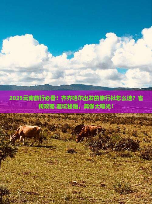 齐齐哈尔到云南旅行社