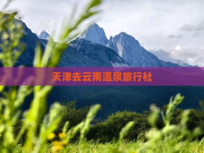 天津去云南温泉旅行社