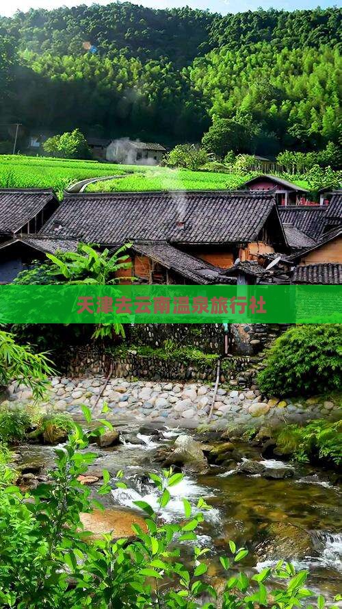 天津去云南温泉旅行社
