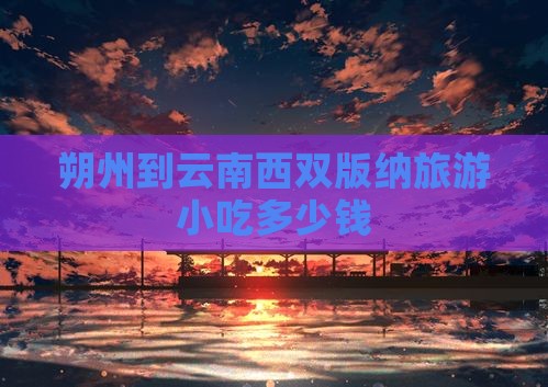 朔州到云南西双版纳旅游小吃