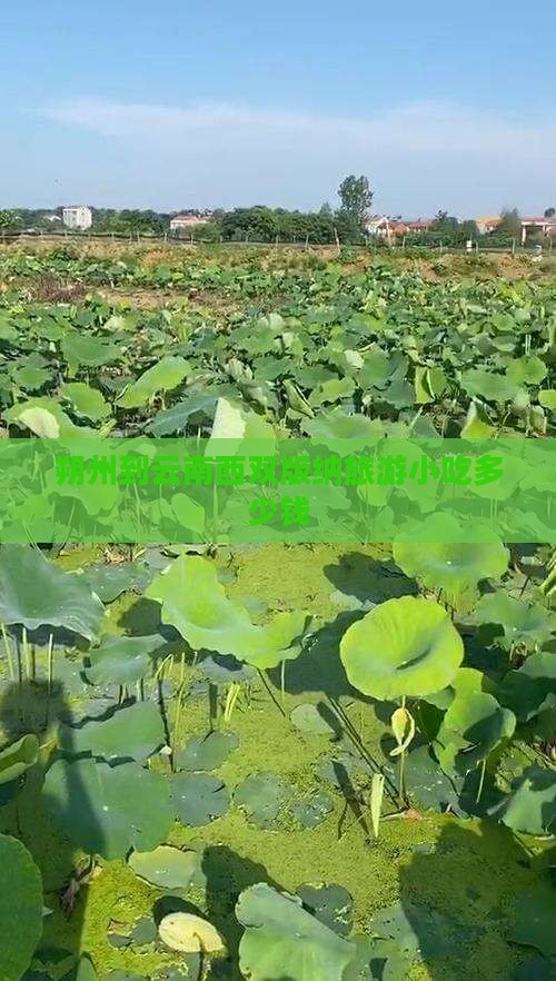 朔州到云南西双版纳旅游小吃