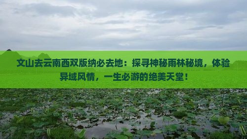 文山去云南西双版纳必去地