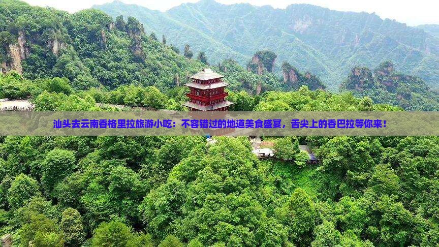 汕头去云南香格里拉旅游小吃