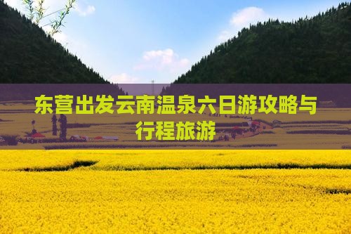 东营去云南温泉六日游