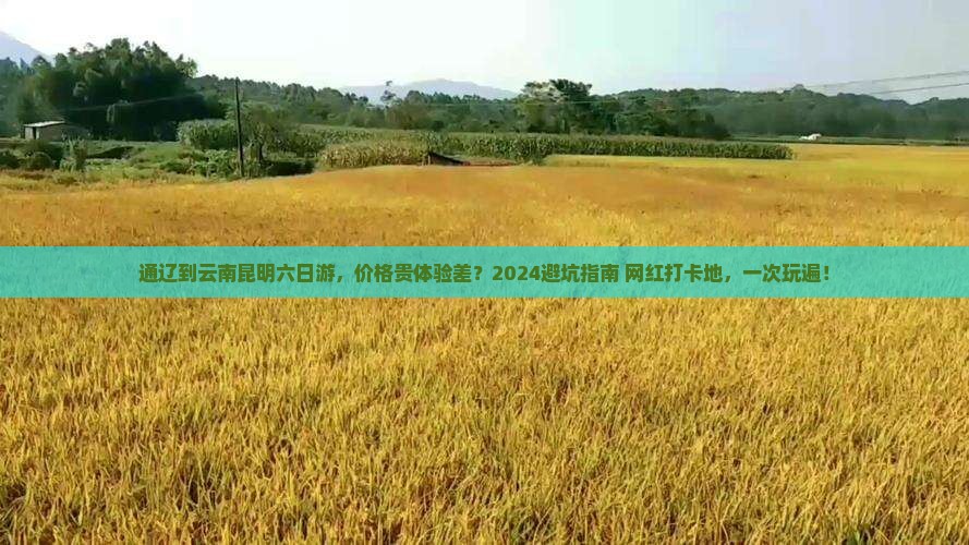 通辽到云南昆明六日游
