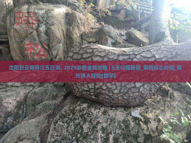 沈阳到云南丽江五日游