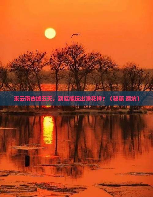 来宾去云南古城五日游