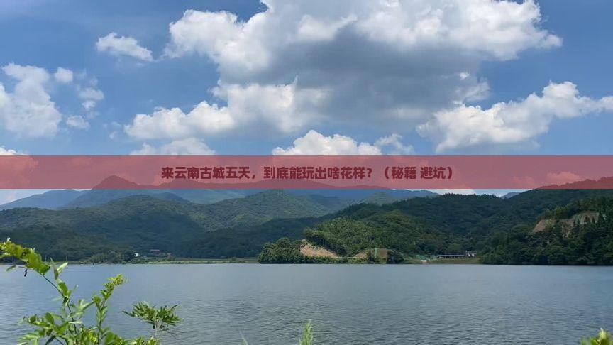 来宾去云南古城五日游