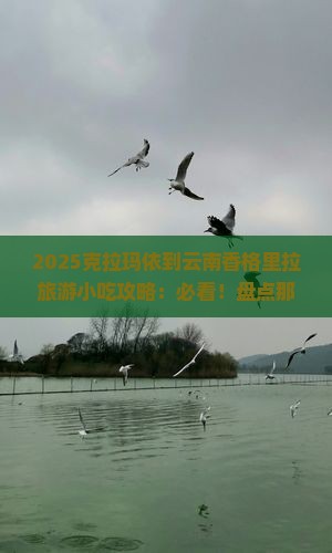 克拉玛依到云南香格里拉旅游小吃