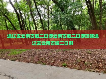 通辽去云南古城二日游