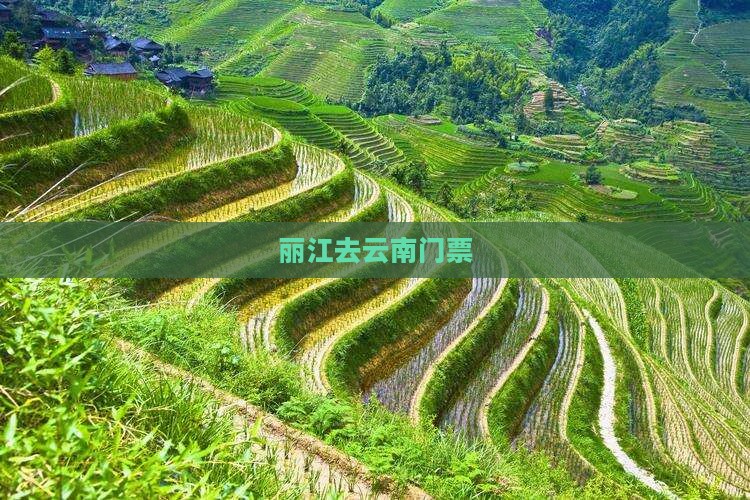 丽江去云南门票