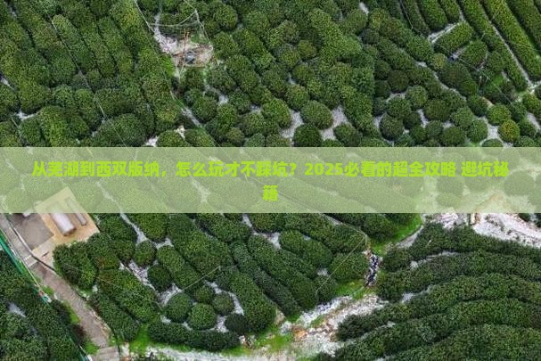 芜湖去云南西双版纳攻略