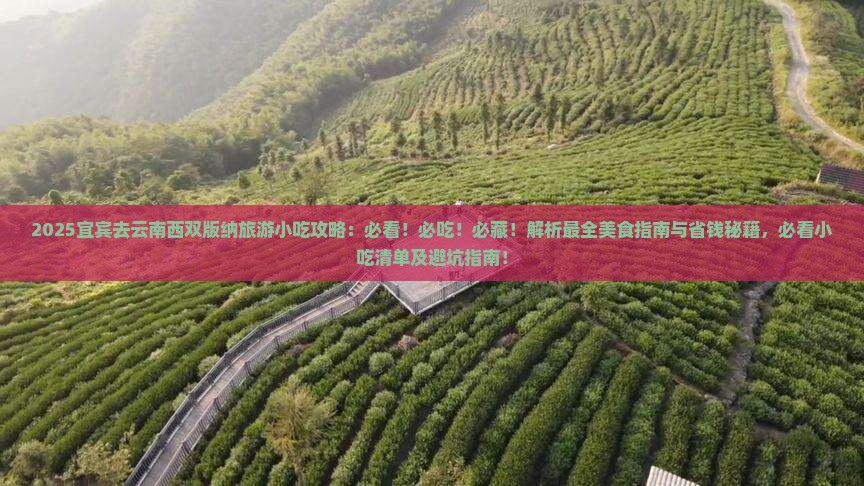 宜宾去云南西双版纳旅游小吃