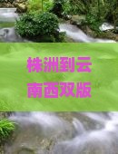 株洲到云南西双版纳六日游