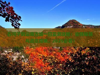 石河子到云南古城一日