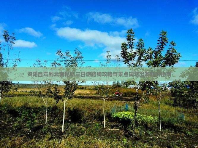 资阳到云南昆明三日游