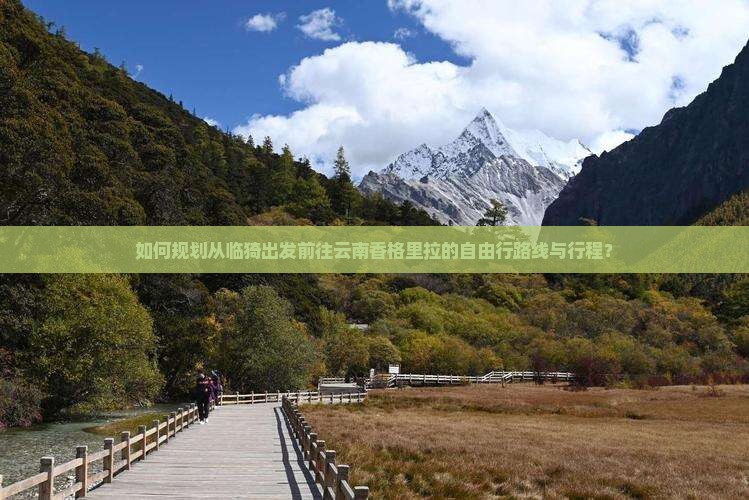 如何规划从临猗出发前往云南香格里拉的自由行路线与行程？