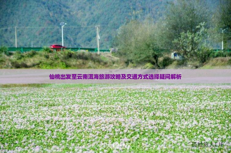 仙桃出发至云南洱海旅游攻略及交通方式选择疑问解析