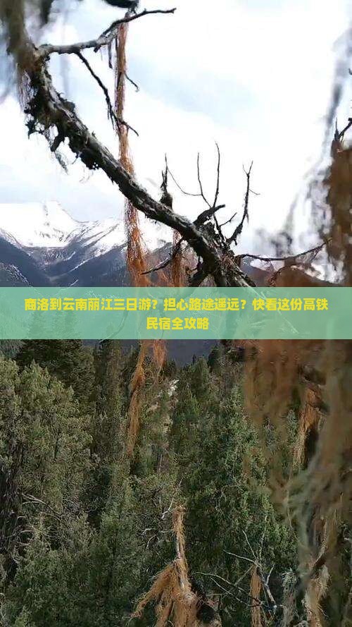 商洛到云南丽江三日游？担心路途遥远？快看这份高铁+民宿全攻略