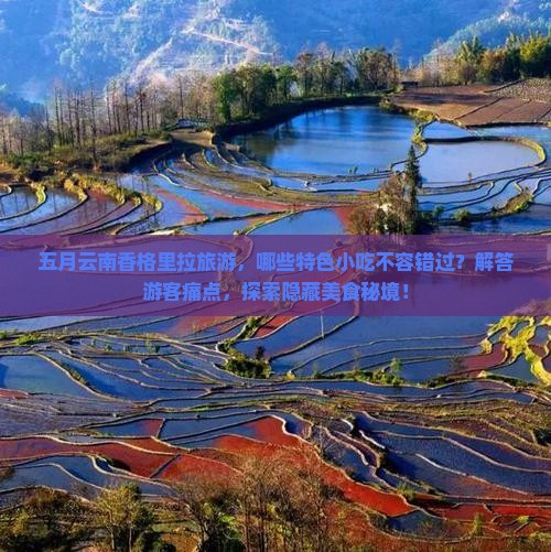 五月云南香格里拉旅游，哪些特色小吃不容错过？解答游客痛点，探索隐藏美食秘境！