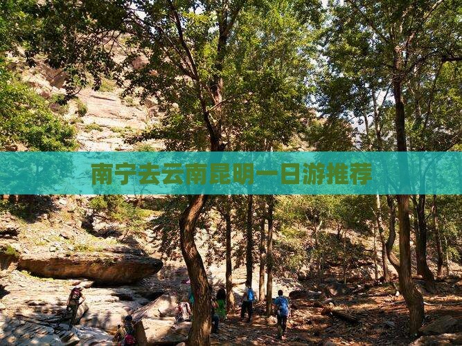 南宁去云南昆明一日游推荐