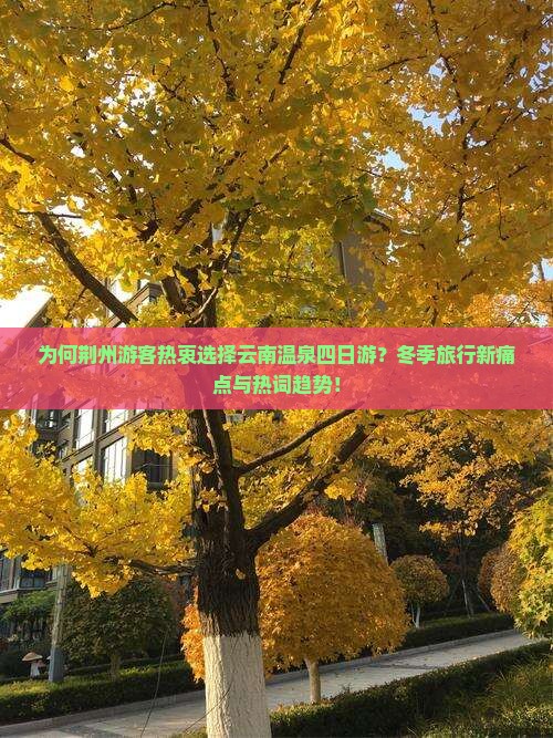 为何荆州游客热衷选择云南温泉四日游？冬季旅行新痛点与热词趋势！