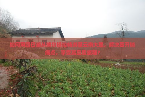 如何用四日游从博尔塔拉畅游至云南大理，解决高开销痛点，享受高品质旅程？